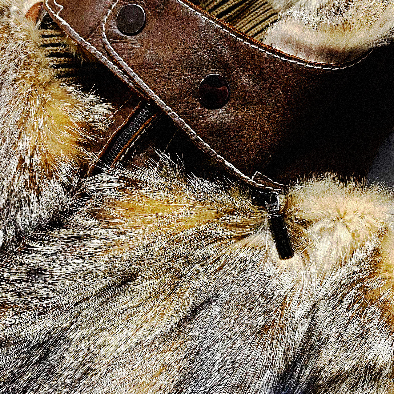 Gata Fur